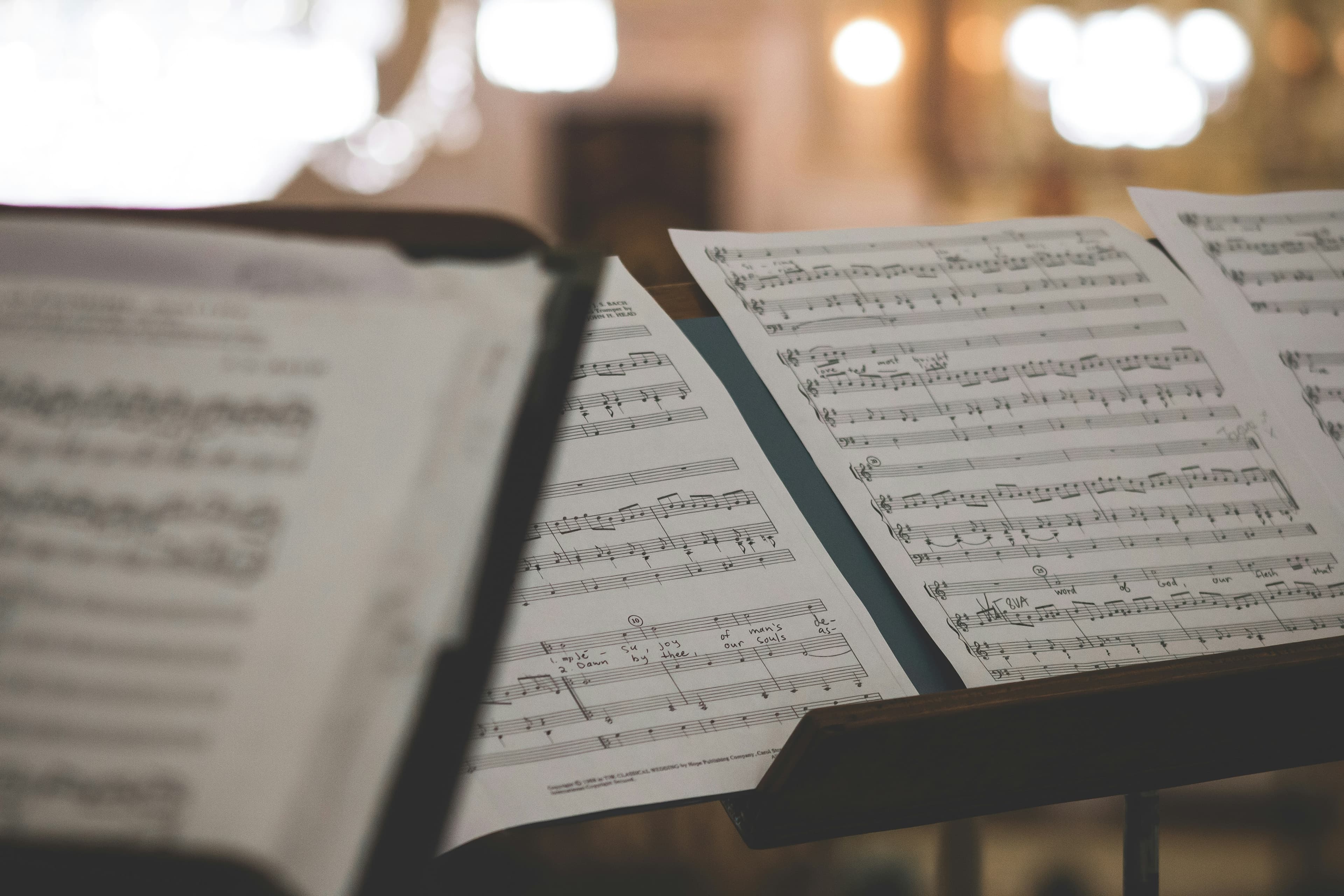 Should Musicians Use Link in Bio Tools?